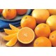 Orange Navel 5Kg