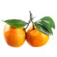 Mandarinas Clementinas 4 Kg