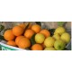 Mixta 8k Naranjas 2K limones 10Kg.