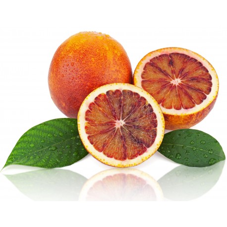 10 KG Naranja Sanguinelli