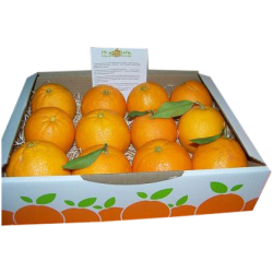 CAJA DE 12 NARANJAS DE MESA SELECCION 