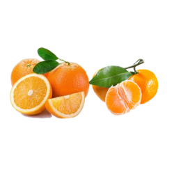 Misch Orangen und Mandarinen 10kg.
