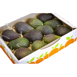 Aguacate 12 piezas